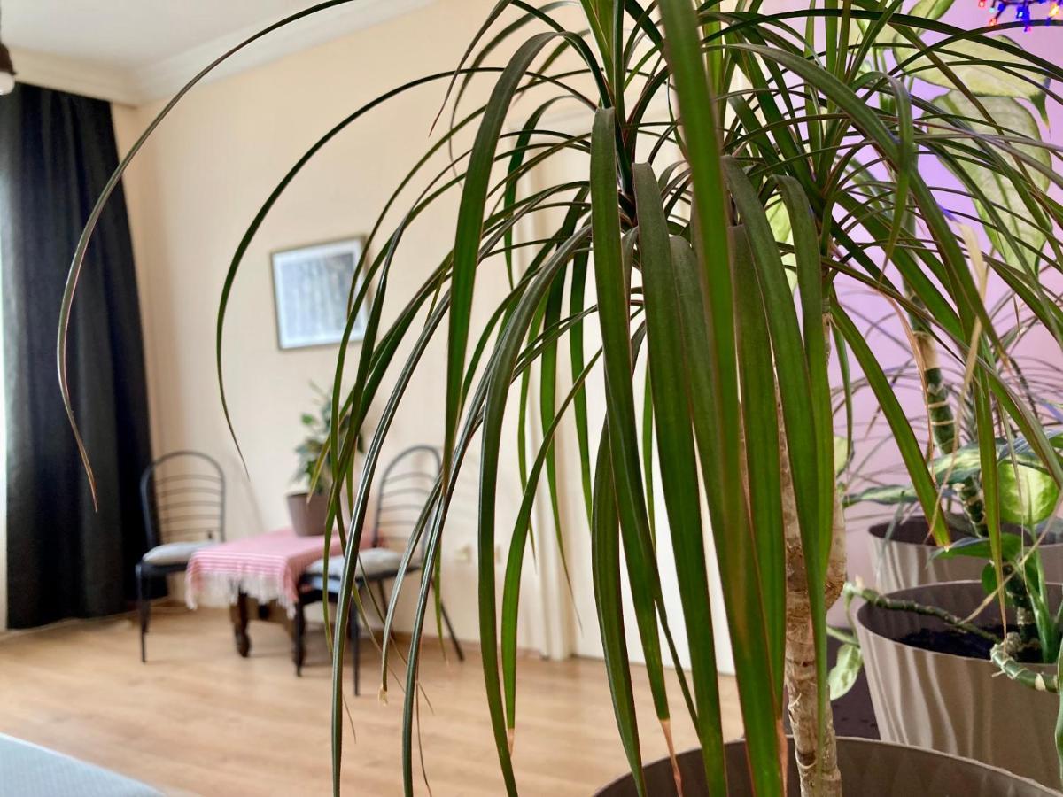 Terazije Square Lux Apartment Belgrade Luaran gambar